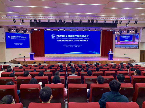 廣西創新一站式國際化服務，助力糖業加速融入全球產業鏈